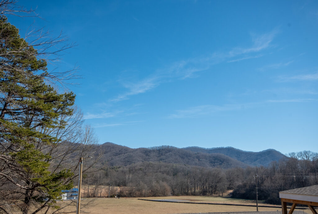 Lot 11 - View
